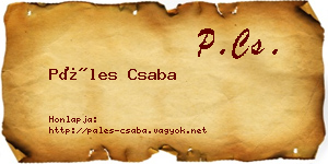 Páles Csaba névjegykártya